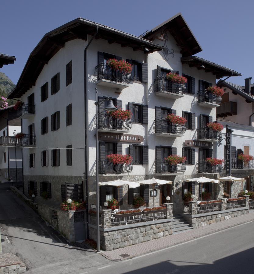 Il Cavallino - Albergo & Appartamenti Sappada Eksteriør billede